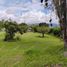  Land for sale in Tumbaco, Quito, Tumbaco