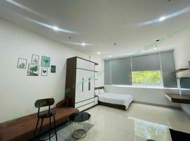 1 Bedroom Condo for rent in My An, Da Nang, My An, Ngu Hanh Son