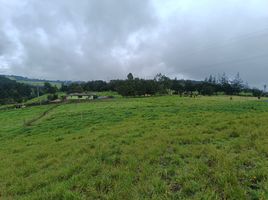 3 Habitación Villa en venta en Choconta, Cundinamarca, Choconta