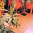 Villa 4 chambre à vendre à Nezahualcoyotl, Mexico, Nezahualcoyotl