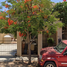 4 Schlafzimmer Haus zu verkaufen in La Paz, Baja California Sur, La Paz