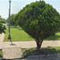 3 Bedroom House for sale in Cadereyta Jimenez, Nuevo Leon, Cadereyta Jimenez