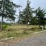  Land for sale in Coacoatzintla, Veracruz, Coacoatzintla