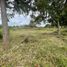  Land for sale in Coacoatzintla, Veracruz, Coacoatzintla