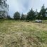  Land for sale in Coacoatzintla, Veracruz, Coacoatzintla