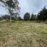  Land for sale in Coacoatzintla, Veracruz, Coacoatzintla