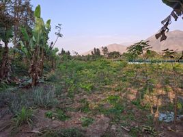  Land for sale in Pachacamac, Lima, Pachacamac