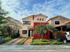 4 Bedroom House for sale in Samborondon, Guayas, Samborondon, Samborondon