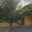 Maison 3 chambre à vendre à Allende, Guanajuato, Allende