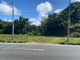  Land for sale in Quezon, Calabarzon, Padre Burgos, Quezon