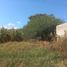  Terreno (Parcela) en venta en Antonio Escobedo, Jalisco, Antonio Escobedo