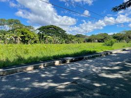  Land for sale in Rizal, Calabarzon, Cainta, Rizal