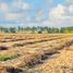  Terreno (Parcela) en venta en Dist Pochutla, Oaxaca, Dist Pochutla