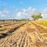  Terreno (Parcela) en venta en Dist Pochutla, Oaxaca, Dist Pochutla