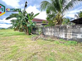  Land for rent in Tarlac, Central Luzon, Bamban, Tarlac