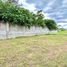  Land for rent in Tarlac, Central Luzon, Bamban, Tarlac