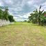  Land for rent in Tarlac, Central Luzon, Bamban, Tarlac