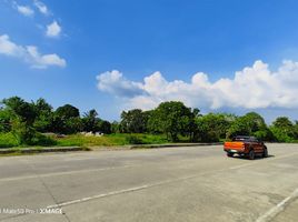  Land for sale in Amadeo, Cavite, Amadeo