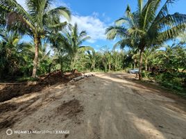  Land for sale in Amadeo, Cavite, Amadeo