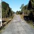  Terreno (Parcela) en venta en Llanquihue, Los Lagos, Puerto Montt, Llanquihue
