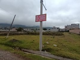  Terreno (Parcela) en venta en Ibarra, Imbabura, San Antonio, Ibarra