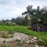  Land for sale in Atzacan, Veracruz, Atzacan