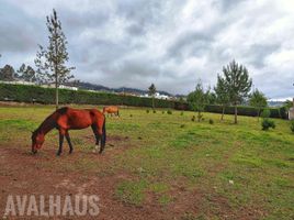  Terreno (Parcela) en venta en Ibarra, Imbabura, San Miguel De Ibarra, Ibarra