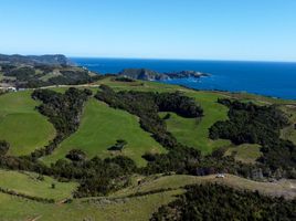  Land for sale in Chile, Los Muermos, Llanquihue, Los Lagos, Chile