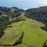  Land for sale in Chile, Los Muermos, Llanquihue, Los Lagos, Chile