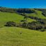  Land for sale in Chile, Los Muermos, Llanquihue, Los Lagos, Chile
