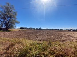  Land for sale in Atenco, Mexico, Atenco
