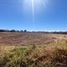  Land for sale in Atenco, Mexico, Atenco