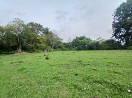  Land for sale in Cali, Valle Del Cauca, Cali