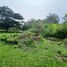  Land for sale in Cali, Valle Del Cauca, Cali