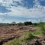  Terreno (Parcela) en venta en Tuxtla Gutierrez, Chiapas, Tuxtla Gutierrez