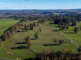  Terreno (Parcela) en venta en Chile, Osorno, Osorno, Los Lagos, Chile