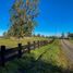  Terreno (Parcela) en venta en Chile, Osorno, Osorno, Los Lagos, Chile