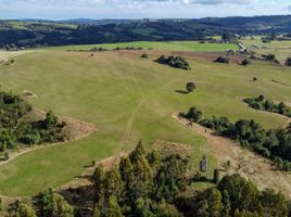  Land for sale in Llanquihue, Los Lagos, Puerto Varas, Llanquihue