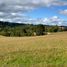  Land for sale in Llanquihue, Los Lagos, Puerto Varas, Llanquihue