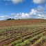  Land for sale in Llanquihue, Los Lagos, Puerto Varas, Llanquihue