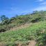  Terrain for sale in Piedecuesta, Santander, Piedecuesta