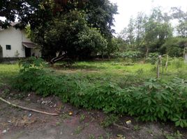  Land for sale in Central Luzon, Angeles City, Pampanga, Central Luzon