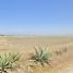  Land for sale in Acatlan, Hidalgo, Acatlan