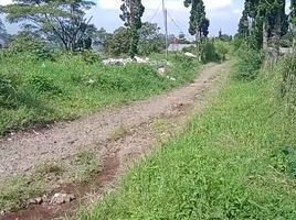  Land for sale in Lembang, Bandung, Lembang