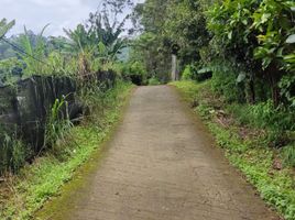  Land for sale in Lembang, Bandung, Lembang