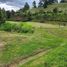  Land for sale in Rionegro, Antioquia, Rionegro