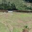  Land for sale in Rionegro, Antioquia, Rionegro