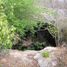  Land for sale in Homun, Yucatan, Homun