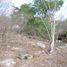  Land for sale in Homun, Yucatan, Homun
