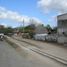  Land for sale in Homun, Yucatan, Homun